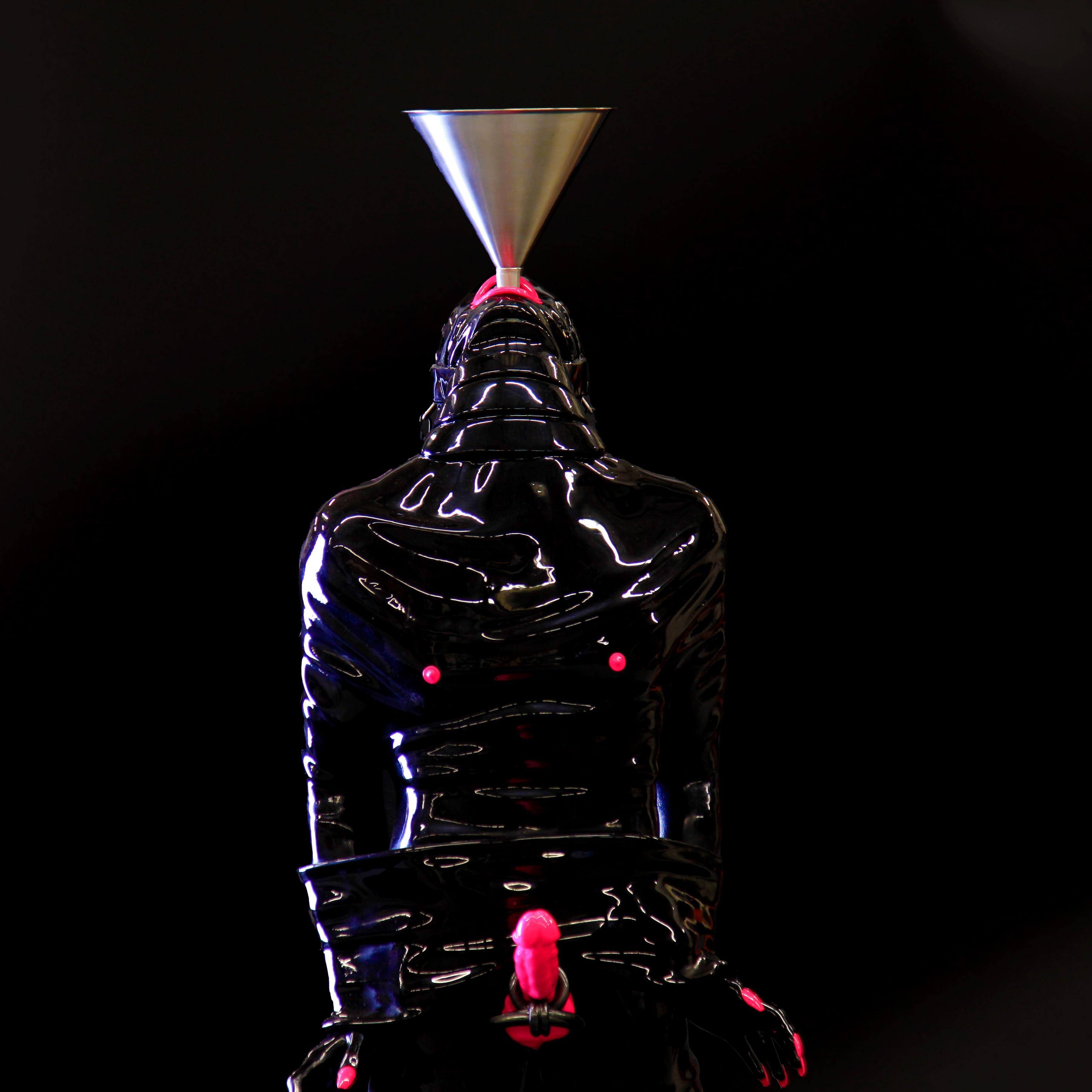 picture of the gimp sculpture