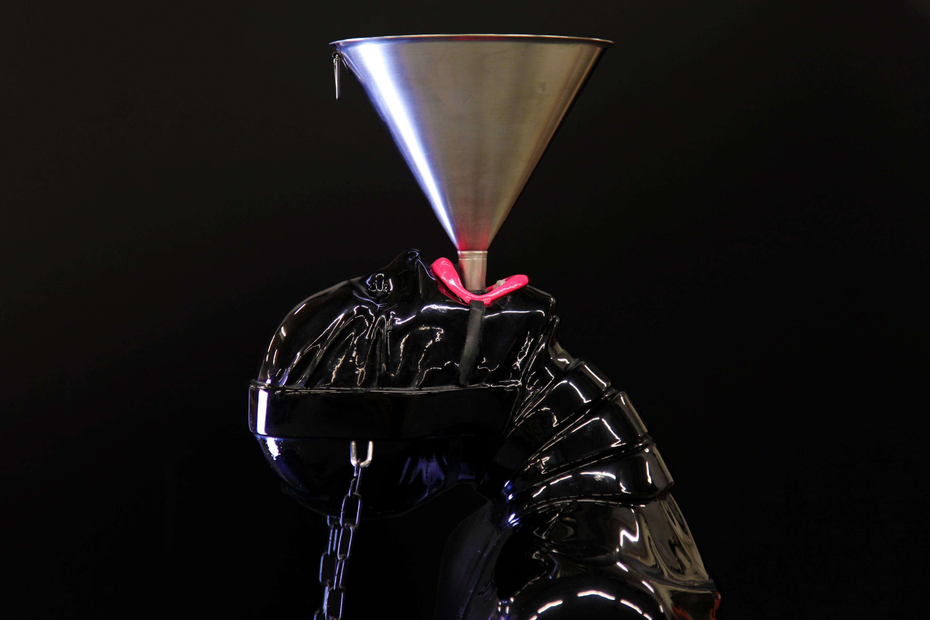picture of the gimp sculpture
